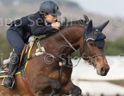 Arioldi F Lagerfeld TosTour 2013- S5 7546 : Arezzo Equestrian Centre, Arioldi Francesca, Lagerfeld, Toscana Tour 2013, foto di Stefano Secchi ©